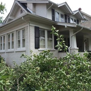 Meet your Posher, Judy